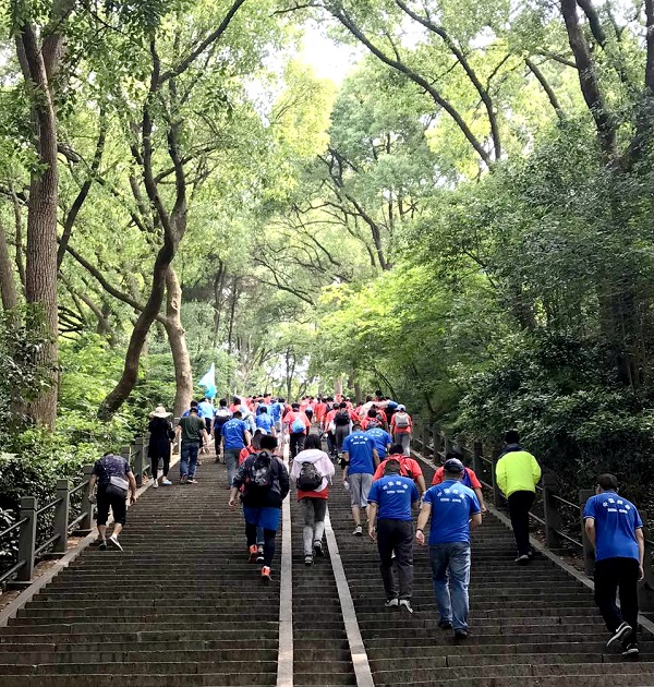 五点来料