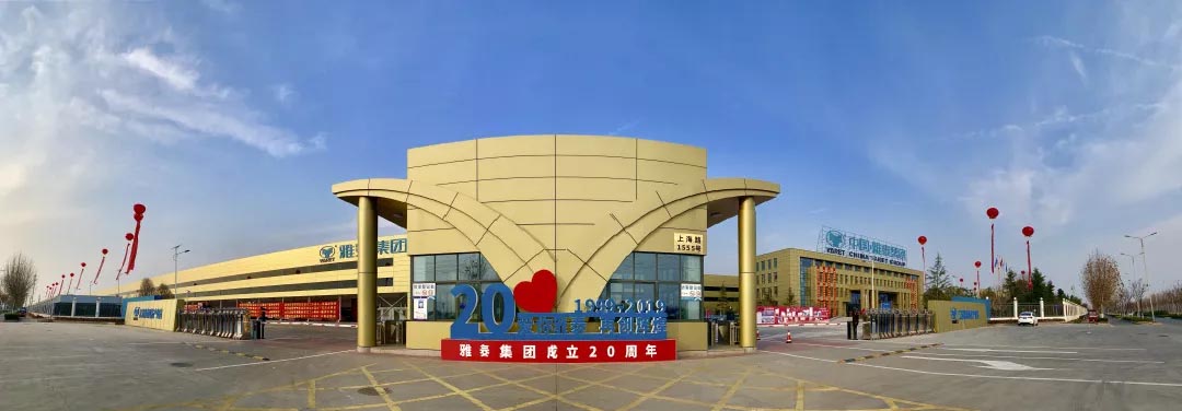 五点来料 五点来料